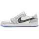 Dior x Air Jordan 1 Low Wolf Grey/Sail/Photon Dust/White CN8608 002 AJ 1 Sneakers